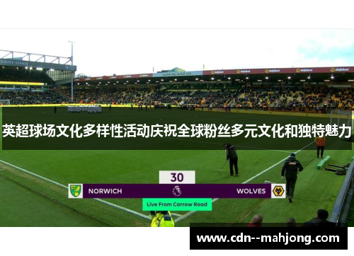 英超球场文化多样性活动庆祝全球粉丝多元文化和独特魅力