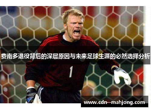 费南多退役背后的深层原因与未来足球生涯的必然选择分析 费南多退役背后的深层原因与未来足球生涯的必然选择分析