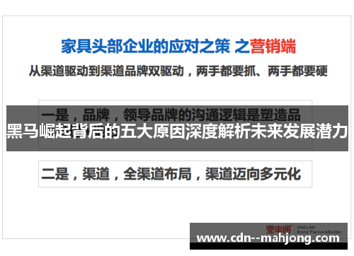 黑马崛起背后的五大原因深度解析未来发展潜力 黑马崛起背后的五大原因深度解析未来发展潜力
