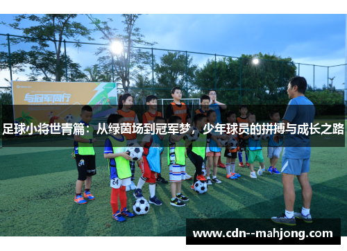 足球小将世青篇:从绿茵场到冠军梦,少年球员的拼搏与成长之路 足球小将世青篇:从绿茵场到冠军梦,少年球员的拼搏与成长之路