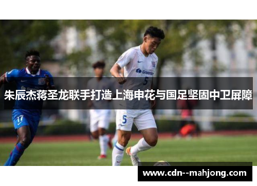 朱辰杰蒋圣龙联手打造上海申花与国足坚固中卫屏障 朱辰杰蒋圣龙联手打造上海申花与国足坚固中卫屏障