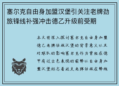 塞尔克自由身加盟汉堡引关注老牌劲旅锋线补强冲击德乙升级前受期