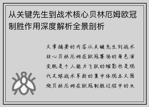 从关键先生到战术核心贝林厄姆欧冠制胜作用深度解析全景剖析