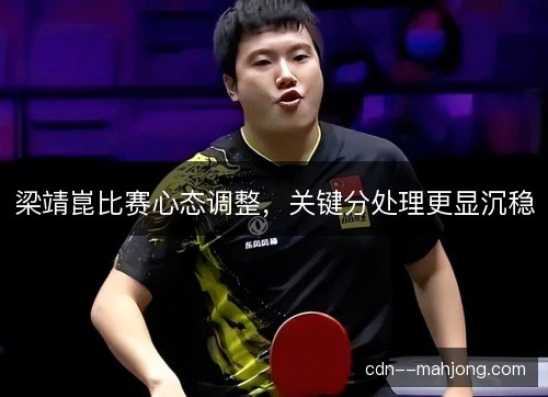 梁靖崑比赛心态调整,关键分处理更显沉稳 梁靖崑比赛心态调整,关键分处理更显沉稳